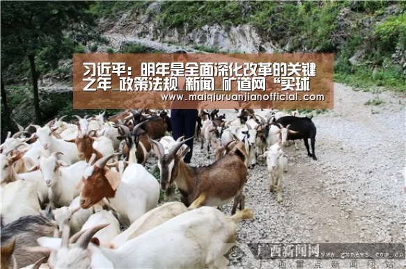 买球软件官网