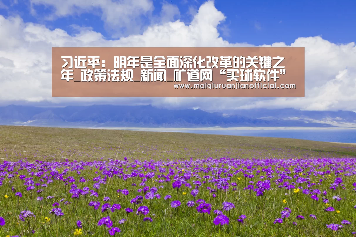 买球