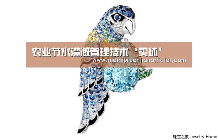 农业节水灌溉管理技术‘买球’(图2) 足球直播