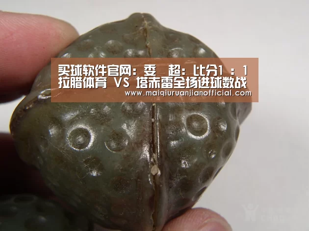 买球软件