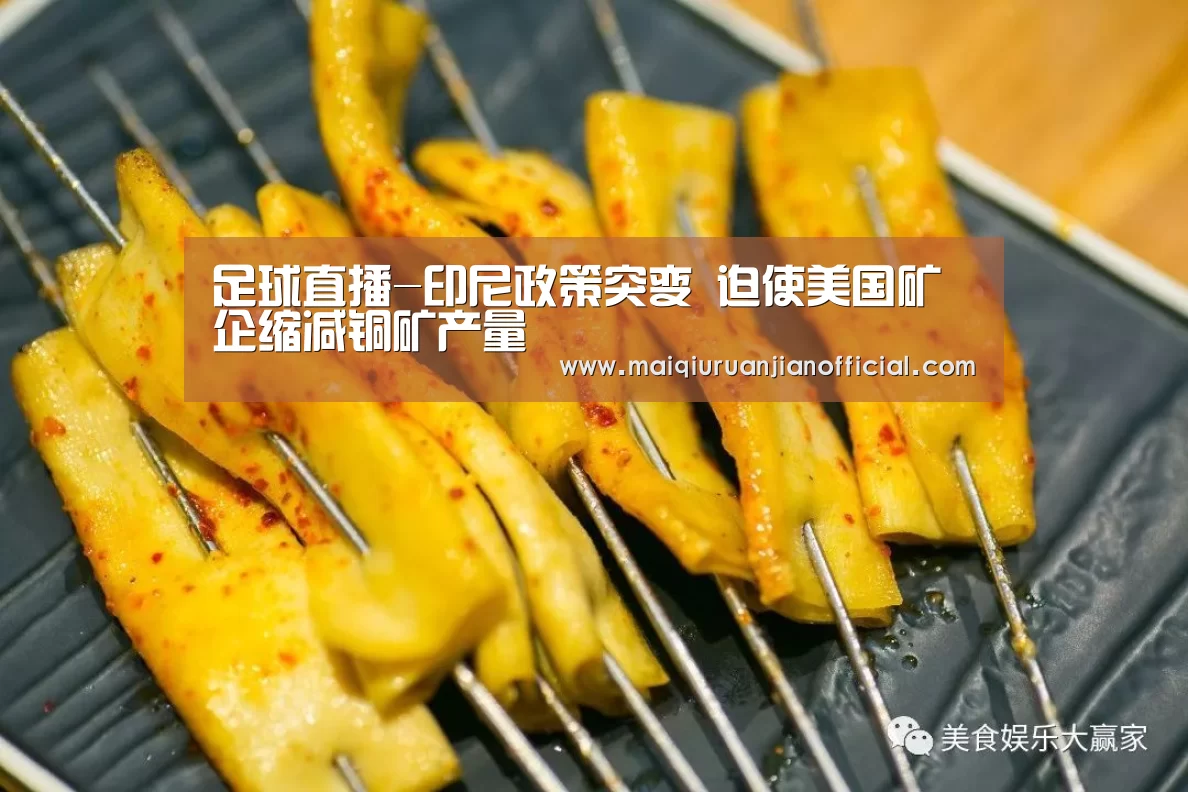 足球直播-印尼政策突变 迫使美国矿企缩减铜矿产量(图4) 买球软件官网