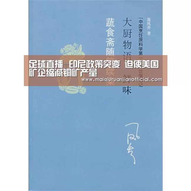 足球直播-印尼政策突变 迫使美国矿企缩减铜矿产量(图3) 买球软件官网