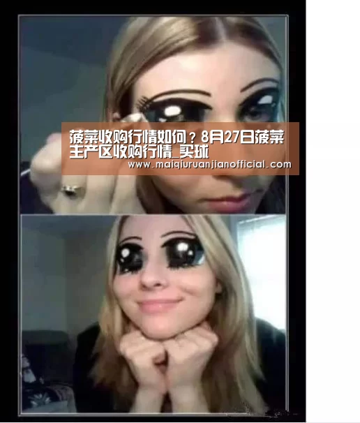 菠菜收购行情如何?8月27日菠菜主产区收购行情_买球(图1) 足球直播