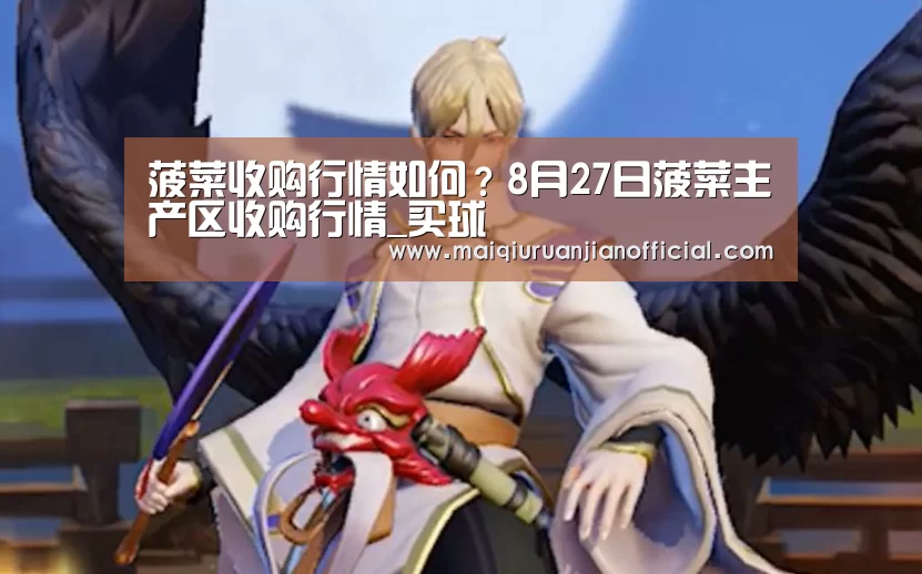 菠菜收购行情如何?8月27日菠菜主产区收购行情_买球(图2) 买球