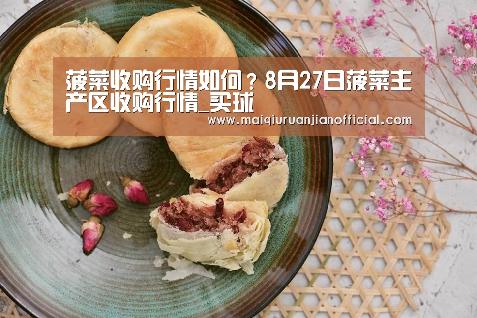 菠菜收购行情如何?8月27日菠菜主产区收购行情_买球(图4) 买球