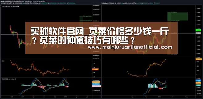 足球直播