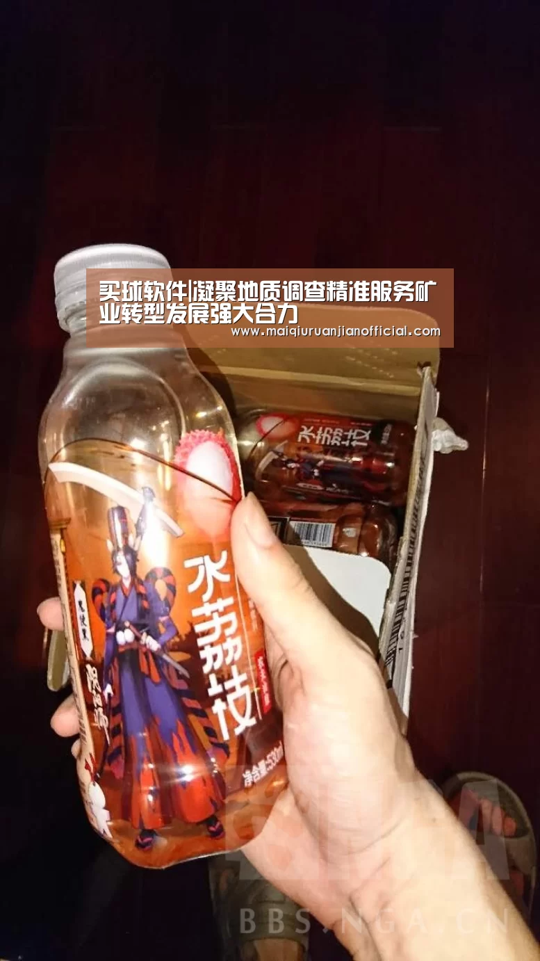 买球软件|凝聚地质调查精准服务矿业转型发展强大合力(图2) 买球软件