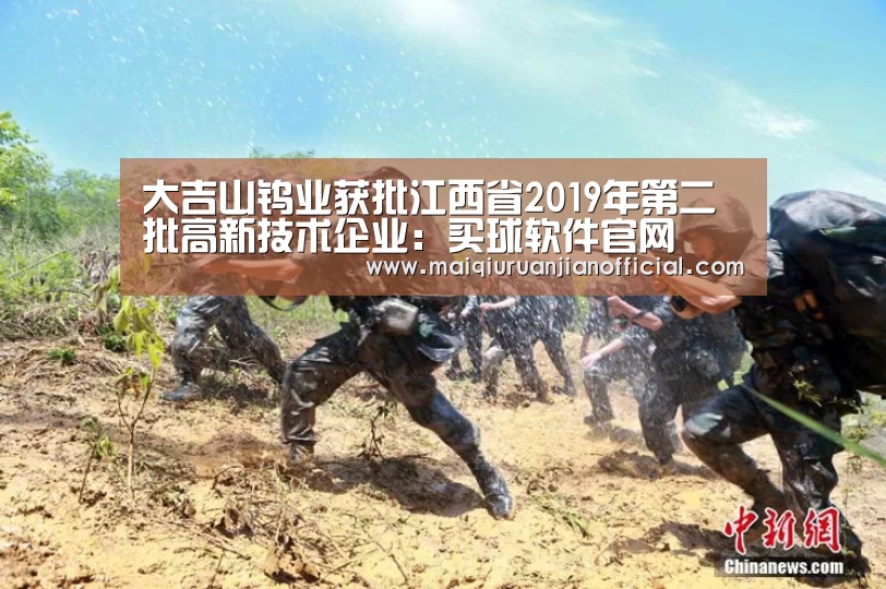 大吉山钨业获批江西省2019年第二批高新技术企业:买球软件官网(图1) 买球软件